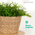 22cm Large Seagrass Plant Pots Set of 3
